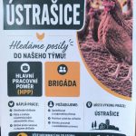 Nabídka práce