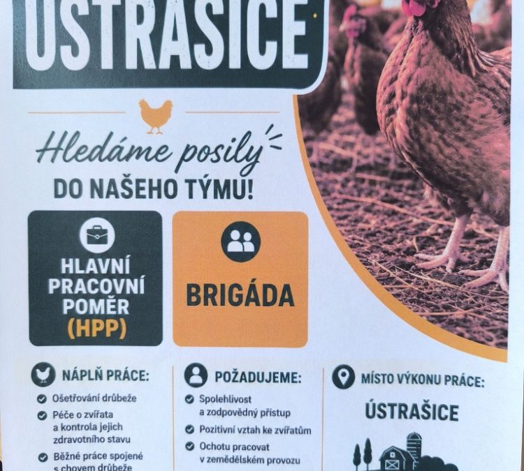 Nabídka práce