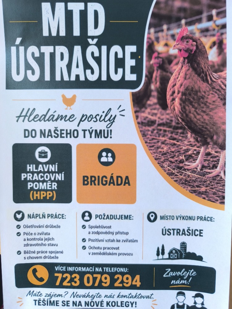 Nabídka práce